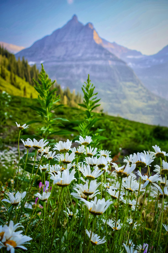 Glacier National Park