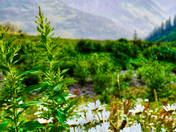 Glacier National Park
