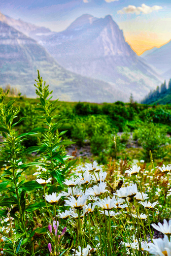 Glacier National Park