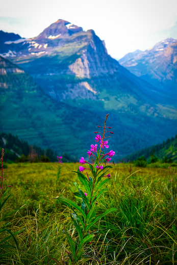 Glacier National Park 