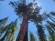 Yosemite National Park