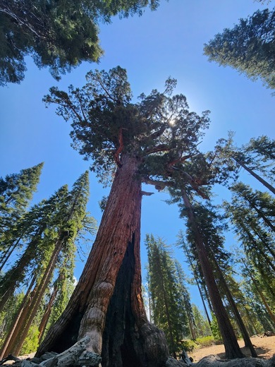 Yosemite National Park