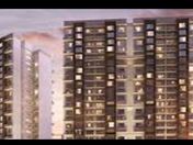 Elevate Your Life, Embrace the Hideaway