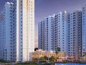 Prestige Forest Edge