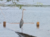 Moutardier-Nolin River Lake