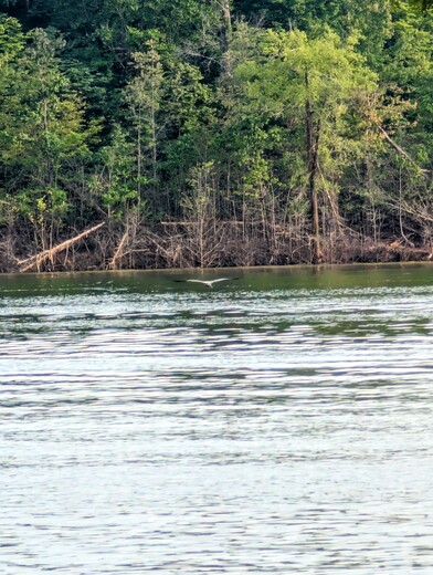 Moutardier- Nolin river Lake