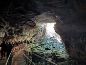 Mammoth Cave National Park