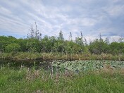 A nice time to be outside.