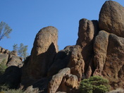 Pinnacles National Park