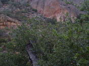 Pinnacles National Park