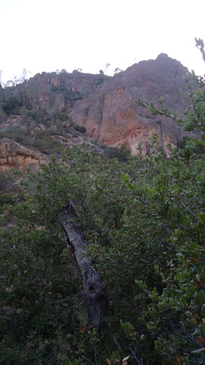 Pinnacles National Park