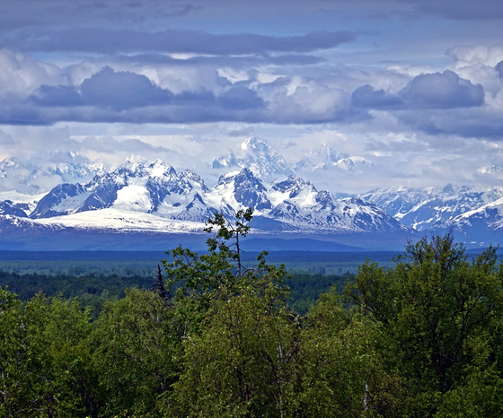 Denali National Park and Preserve