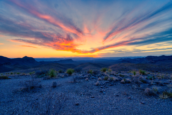 Big Bend National Park