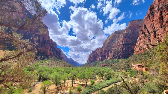 Zion National Park