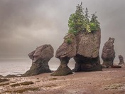 Hopewell Rocks