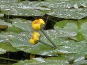 Enjoy the little things.