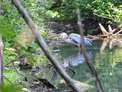À Rosemère ce matin
