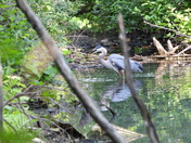 À Rosemère ce matin