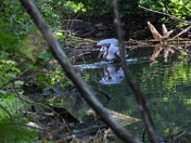 À Rosemère ce matin