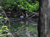 À Rosemère ce matin