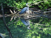 À Rosemère ce matin