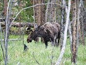 Rocky Mountain National Park