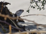 Death Valley National Park
