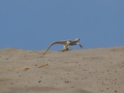 Death Valley National Park