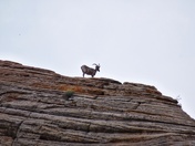 Zion National Park, Utah.
