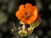 Death Valley National Park, CA.