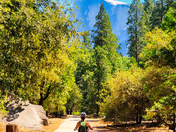 Yosemite National Park