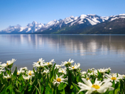 Grand Teton National Park