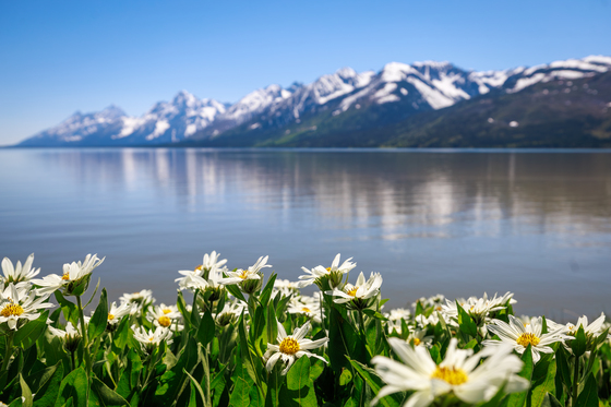 Grand Teton National Park