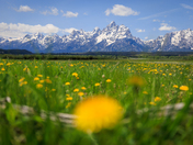 Grand Teton National Park