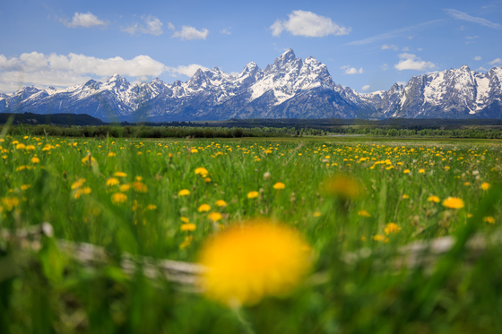 Grand Teton National Park