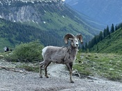 Glacier National Park 