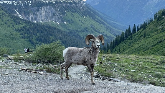 Glacier National Park 