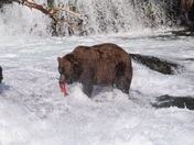 Katmai National Park and Preserve