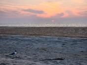 Cape Hatteras National Seashore