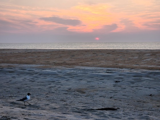 Cape Hatteras National Seashore