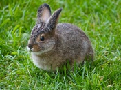 Katmai National Park and Preserve