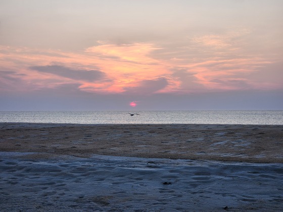 Cape Hatteras National Seashore