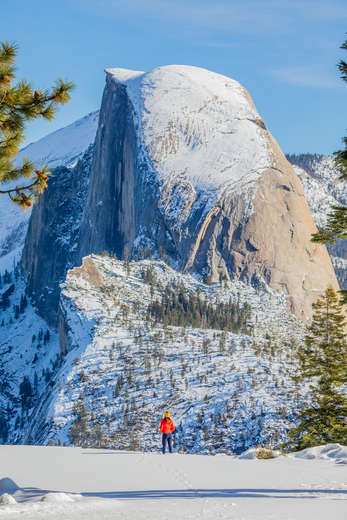 Yosemite National Park