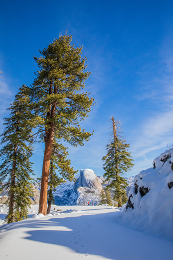 Yosemite National Park