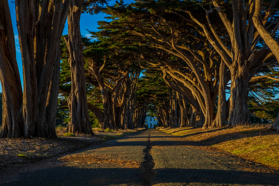 Point Reyes National Seashore