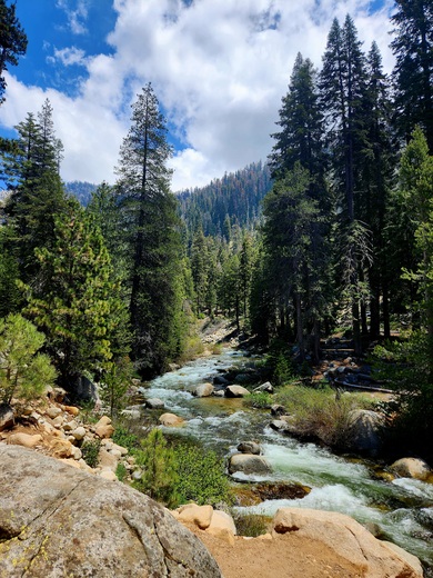 Sequoia and Kings Canyon National Park