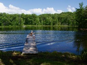 Chequamegon-Nicolet National Forest