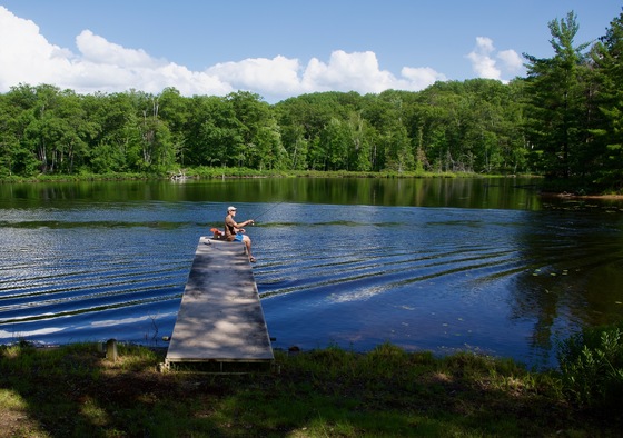 Chequamegon-Nicolet National Forest