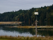Deschutes National Forest