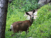 Grand Teton National Park